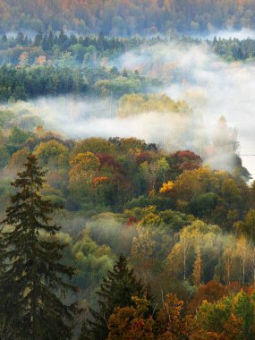 Gauja river valley and golden forest in a mysterious morning fog at sunrise. Sigulda, Latvia. Breathtaking aerial view. Pure nature, environmental conservation, eco tourism clipart
