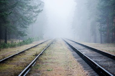 Akşamları puslu demiryolu, arka planda çam ağaçları, Letonya
