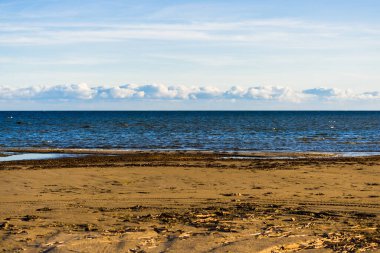 Gün batımında boş bir deniz kıyısı. Açık mavi gökyüzü, beyaz bulutlar ve uçak izleri. Baltık Denizi, Ruhnu Adası, Estonya