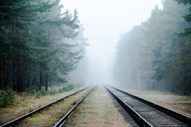 Sabahları puslu demiryolu, arka planda çam ağaçları, Letonya