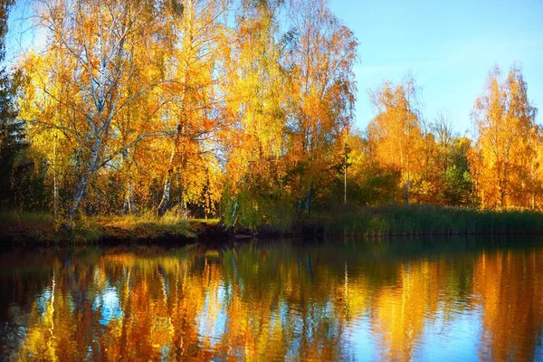 Podzimní Krajina Zlaté Světlo Nad Stromy Jezerem Jasná Obloha Západu — Stock fotografie