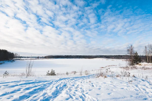 Panoramisch Uitzicht Het Besneeuwde Veld Een Sneeuwstorm Een Zonnige Dag — Stockfoto