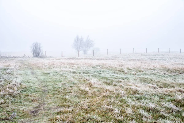 Pemandangan Musim Dingin Berkabut Pagi Lapangan Embun Beku Dan Salju — Stok Foto