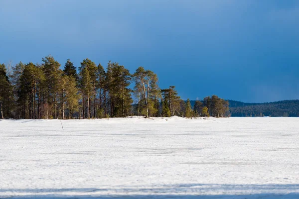 雪の上に劇的な青空 凍結Kuito湖 背景に針葉樹林覆われた 冬の田園風景 嵐の雲 カレリア ノース ラップランド — ストック写真