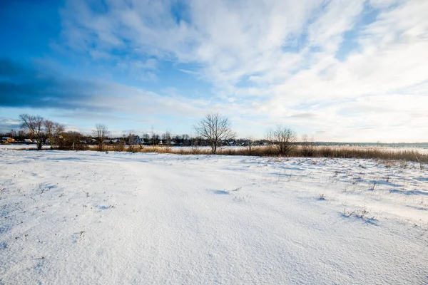 Näkymä Lumen Peittämälle Maapellolle Mäntymetsän Kanssa Taustalla Kirkkaana Aurinkoisena Päivänä — kuvapankkivalokuva