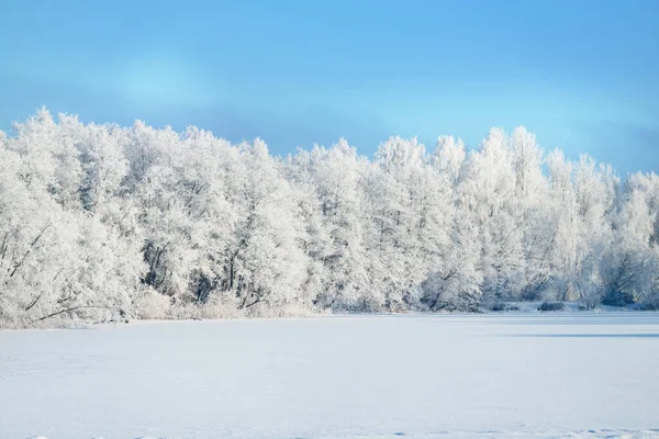 Zonnige Winterdag Uitzicht Bevroren Rivier Besneeuwde Bomen Achtergrond Heldere Blauwe — Stockfoto