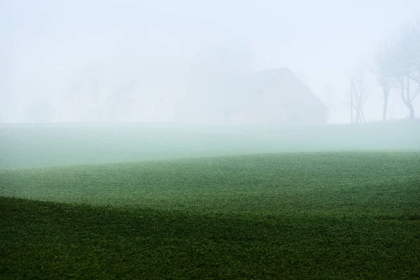 Country Landscape Empty Agricultural Field Strong Morning Fog Forest Houses — Stock Photo, Image