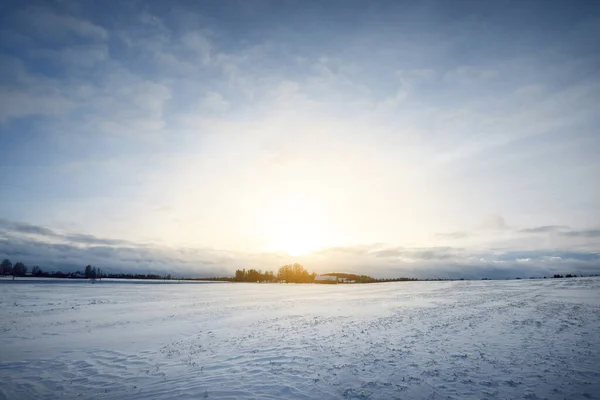 Panoramautsikt Över Det Snötäckta Fältet Vid Solnedgången Hus Landet Och — Stockfoto
