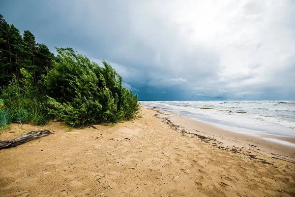 Stormigt Väder Molnblå Himmel Och Vågor Utsikt Från Havskusten Tallskog — Stockfoto