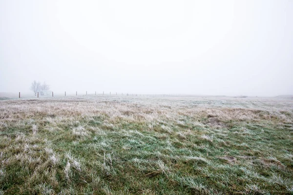 Paesaggio Invernale Campo Nebbioso Mattutino Gelo Neve Sull Erba Lettonia — Foto Stock