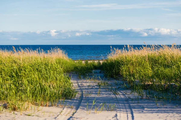 Empty Seashore Sunset Clear Blue Evening Sky White Clouds Plane — Stock Photo, Image