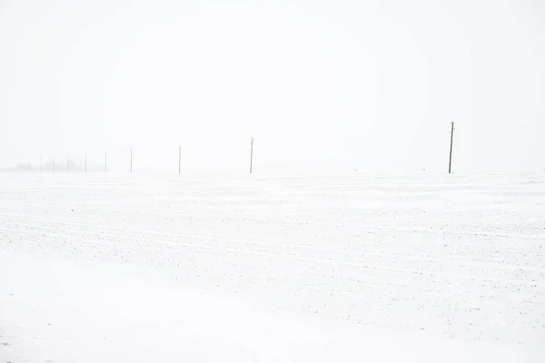 曇り空の冬の日を背景とした雪に覆われた田園風景 ラトビア 曇り空の冬の日を背景とした雪に覆われた田園風景 ラトビア — ストック写真