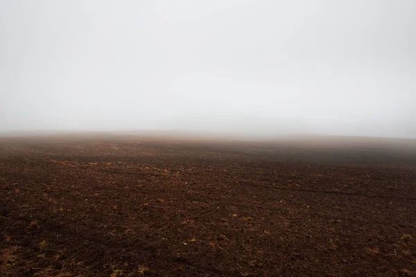 Country Landscape Empty Agricultural Field Strong Morning Fog Forest Houses — Stock Photo, Image