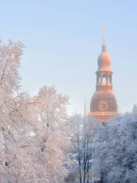 Giornata Invernale Soleggiata Parco Cittadino Vista Della Cattedrale Riga Ghiacciata — Foto Stock