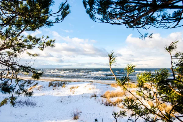 Pins Vagues Orageuses Froides Nuages Dessus Mer Nord Pays Bas — Photo