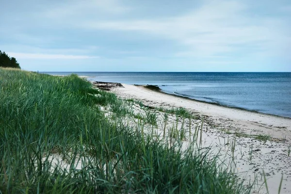 Uma Vista Costa Mar Báltico Dia Nublado Verão Grama Verde — Fotografia de Stock