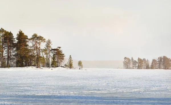 一场暴风雪过后 雪覆在冰封的奎托湖上 天空戏剧化 后面是针叶林冬日的日落卡累利阿北区拉普兰 — 图库照片