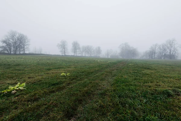 田舎の風景 強い朝の霧の中で空の農業分野 背景に森と家 ラトビア — ストック写真