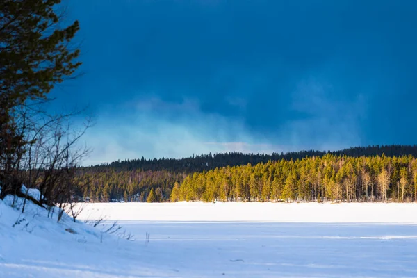 雪の上に劇的な青空 凍結Kuito湖 背景に針葉樹林覆われた 常緑樹のクローズアップ 嵐の雲 カレリア ノース ラップランド — ストック写真