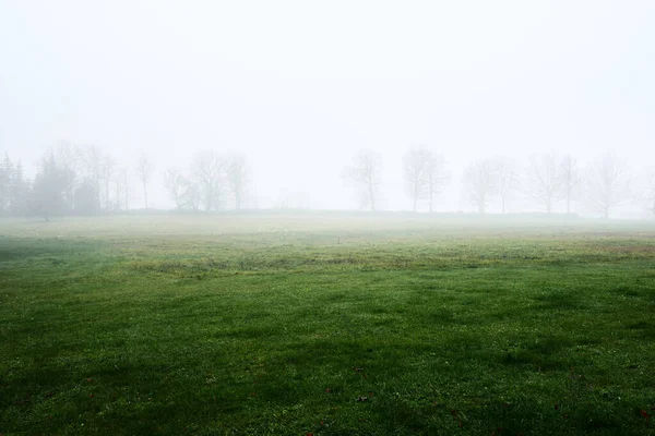 Landschaften Ein Leeres Landwirtschaftliches Feld Starken Morgennebel Wald Und Häuser — Stockfoto