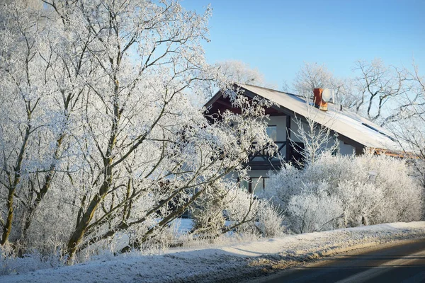 冬の田園風景 レンガ造りの家のクローズアップ 背景には雪に覆われた白樺の木 真っ青な空 ラトビア — ストック写真