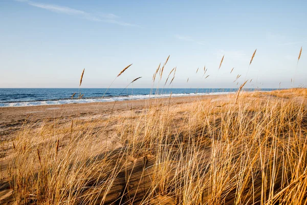 Jarní Krajina Pohled Pobřeží Baltského Moře Jasného Slunečného Dne Lotyšsko — Stock fotografie