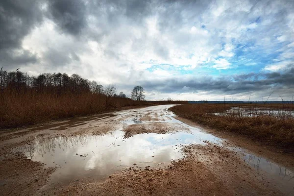 전에는 하늘이 철두철미 하늘을 뒤덮었습니다 라트비아 흐르는 대기의 생태학 스러운 — 스톡 사진