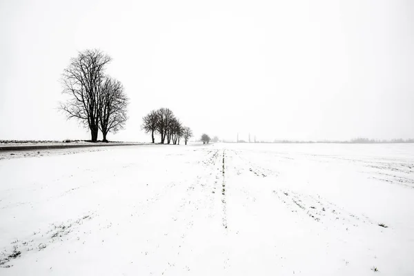 Pusta Droga Krajowa Przez Pokryte Śniegiem Pola Pochmurny Zimowy Dzień — Zdjęcie stockowe