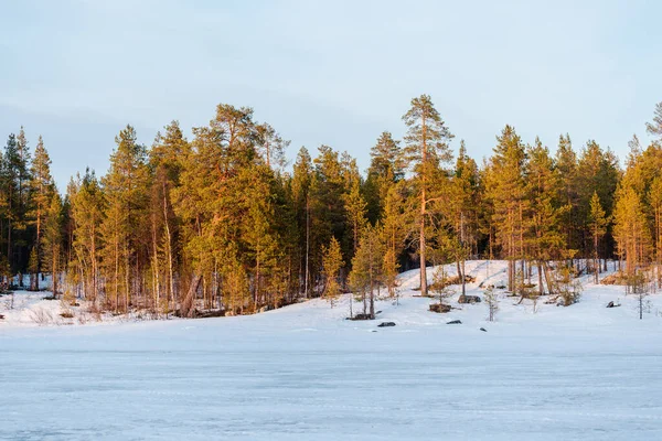 Karla Kaplı Donmuş Nehrin Üzerindeki Dramatik Gökyüzü Eski Yeşil Ağaçlar — Stok fotoğraf