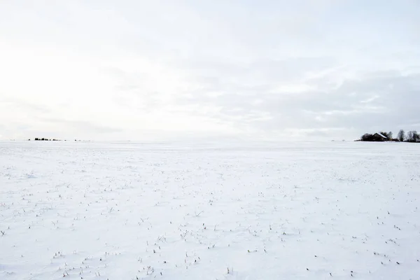 Panoramatický Výhled Prázdné Zasněžené Venkovské Pole Při Západu Slunce Večerní — Stock fotografie