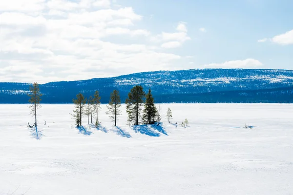 Donmuş gölün panoramik manzarası. Arka planda karla kaplı dağlar ve kozalaklı ormanlar var. Açık mavi gökyüzü. Kola Yarımadası, Murmansk bölgesi, Kutup Dairesi, Karelia, Rusya
