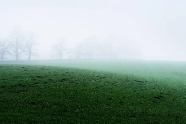 Country Landscape Empty Agricultural Field Strong Morning Fog Forest Houses — Stock Photo, Image