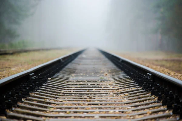 Misty Railroad Avond Dennenbomen Achtergrond Letland — Stockfoto