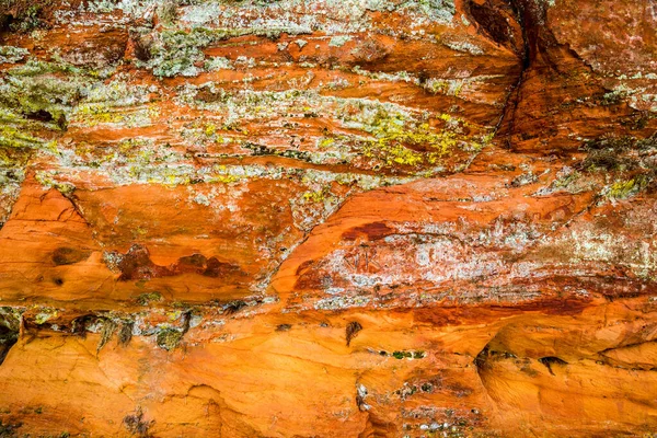 Lesní Krajina Útesy Blízkosti Řeky Borovice Pozadí Národní Park Gauja — Stock fotografie