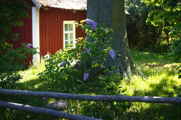 Old Traditional Wooden Country House Forest View Green Garden Lilac — Stock Photo, Image