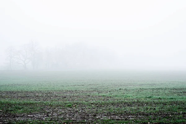 Country Landscape Empty Agricultural Field Strong Morning Fog Forest Houses — Stock Photo, Image