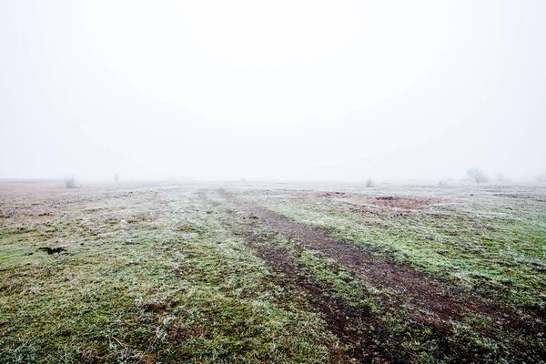 Χειμερινό Τοπίο Misty Πεδίο Πρωί Παγετός Και Χιόνι Στο Γρασίδι — Φωτογραφία Αρχείου