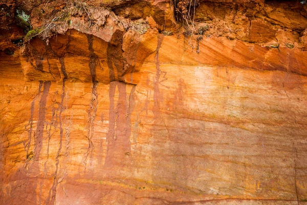 Paisagem Florestal Inverno Falésias Perto Rio Pinheiros Fundo Parque Nacional — Fotografia de Stock