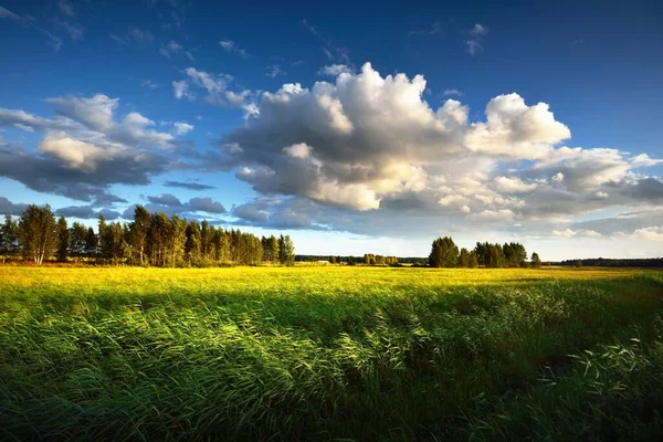 Uma Vista Campo Agrícola Verde País Agains Céu Azul Nublado — Fotografia de Stock