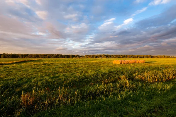 Ein Blick Auf Das Landwirtschaftliche Feld Bei Sonnenuntergang Heuhaufen Aus — Stockfoto