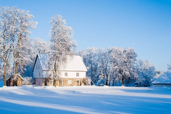 吹雪の後の古い伝統的なカントリーハウスや雪に覆われた木の景色 真っ青な空 ラトビアのシグルダ — ストック写真