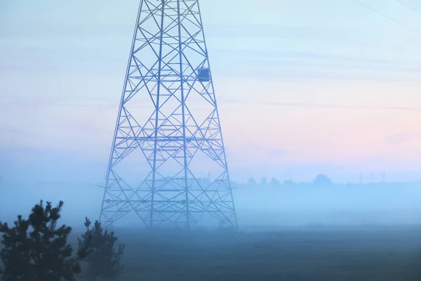 日の出の濃い霧の中で森林伐採後のフィールドと若い木 ラトビア 背景にある電力線 概念的な風景 生態系 生態系の問題 環境被害 — ストック写真