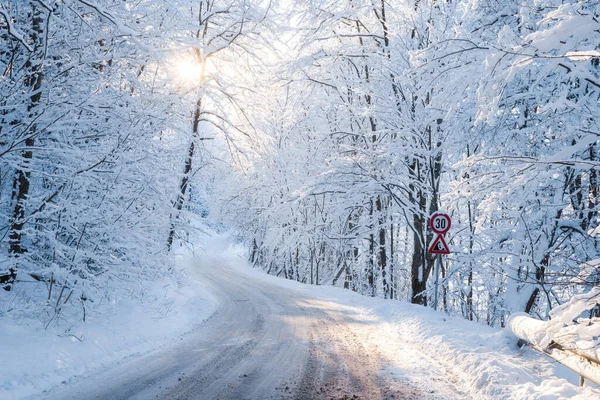 Zicht Lege Asfaltweg Met Een Scherpe Bocht Door Besneeuwde Bomen — Stockfoto