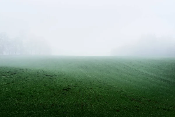 Paesaggio Rurale Campo Agricolo Vuoto Una Forte Nebbia Mattutina Foresta — Foto Stock