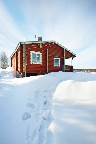 Oud Rood Houten Huis Het Besneeuwde Veld Close Altijd Groen — Stockfoto