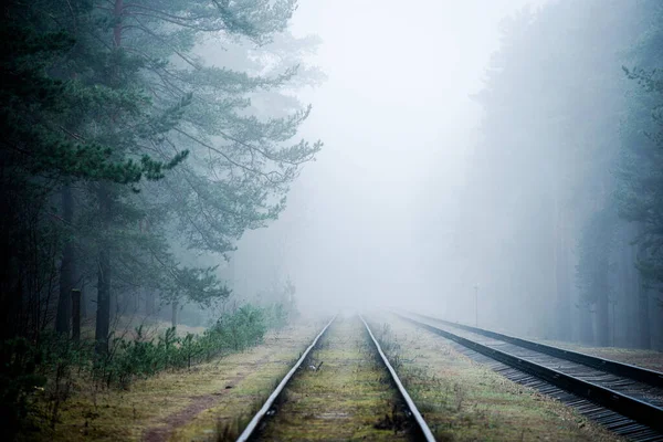 Estrada Ferro Enevoada Manhã Pinheiros Fundo Letónia — Fotografia de Stock