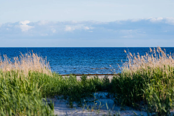 An empty coast of the Baltic sea at sunset. Clear blue sky. Ruhnu island, Estonia