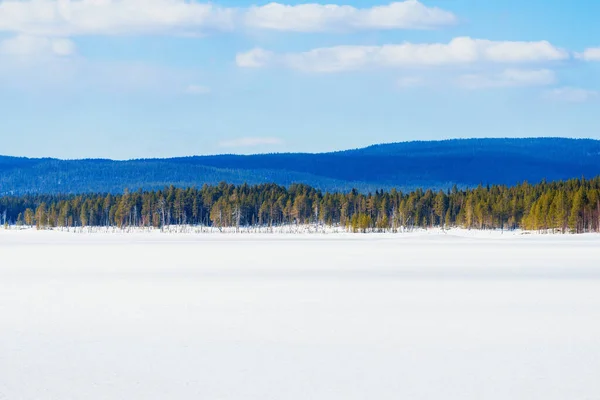 凍結湖のパノラマビュー 雪に覆われた山々や背景に針葉樹林 真っ青な空 コラ半島 ムルマンスク地方 カレリア ロシア — ストック写真