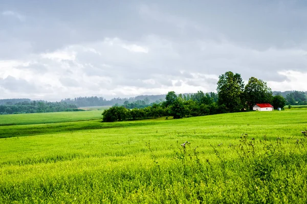 乡村风景 一个孤独的房子 有一个红色的屋顶和一个森林的背景 拉脱维亚 — 图库照片