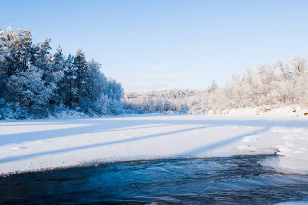 Zmrzlé Řeky Zasněžené Lesy Sněhové Bouři Ranním Oparu Jasné Modré — Stock fotografie